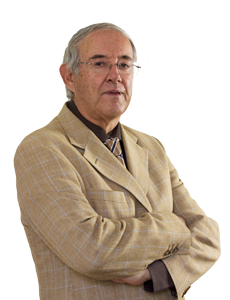 Luís Brito Lhamas